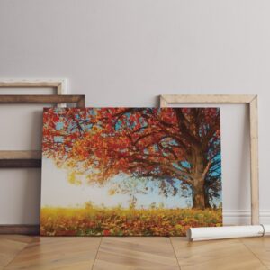 Wild Orange Flowers Floral Canvas Art Print
