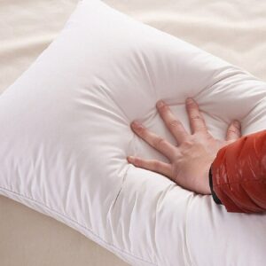 Home Gallery pillow captone