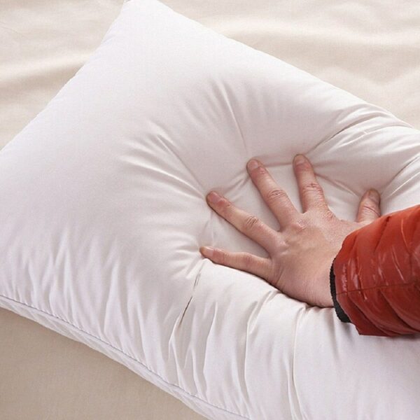 Home Gallery pillow captone